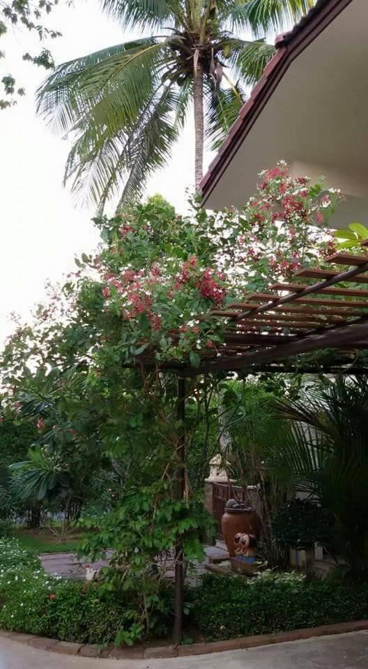 Periwinkle Villa 象岛 外观 照片